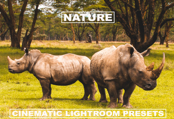 Download Cinematic Lightroom Presets Nature Tone - Lightroom Collection