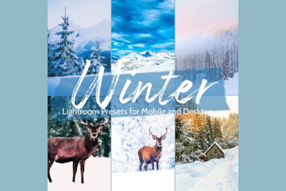Download 10 Winter Wonderland Lightroom Presets - Lightroom Collection