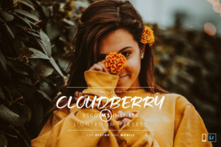 Download Cloudberry Lightroom Preset - Lightroom Collection