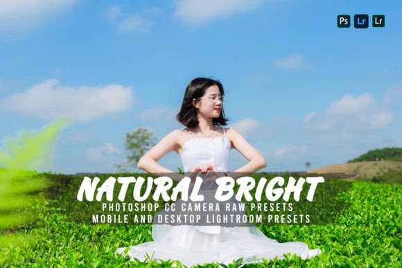 Download 10 Natural Bright Lightroom Presets - Lightroom Collection