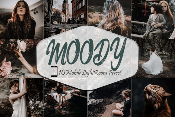 Download 10 Moody Mobile Lightroom Presets - Lightroom Collection