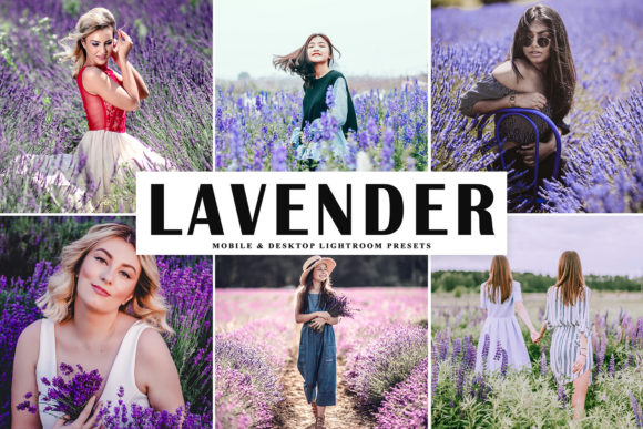 Download Lavender Pro Lightroom Presets - Lightroom Collection