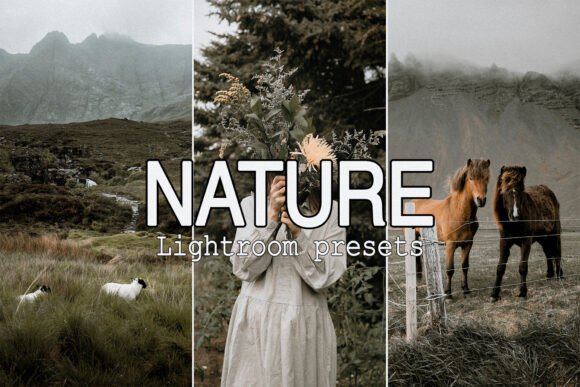 Download 9 Moody Nature Lightroom Presets - Lightroom Collection