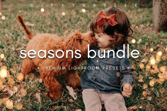 Download SEASONS BUNDLE Lightroom Presets - Lightroom Collection