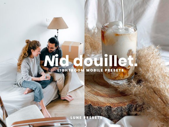Download Nid Douillet Lightroom Presets - Lightroom Collection