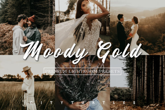 Download Moody Gold Rustic Lightroom Presets - Lightroom Collection