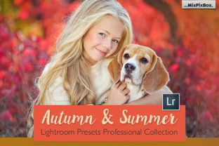 Download Autumn and Summer Lightroom Collection - Lightroom Collection
