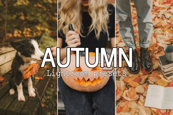 Download 9 Warm Tone Fall Lightroom Presets - Lightroom Collection