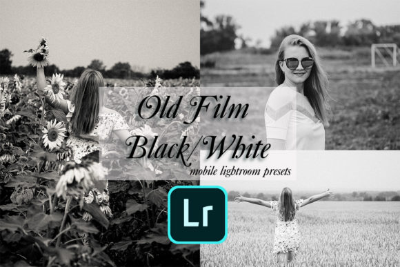 Download 10 Old Film BlackWhite Lightroom Presets - Lightroom Collection