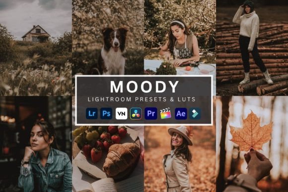 Download Moody Lightroom Presets &amp; Luts - Lightroom Collection