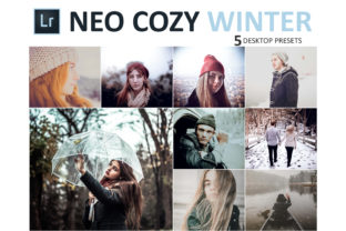 Download Neo Cozy Winter Desktop Lightroom Presets - Lightroom Collection