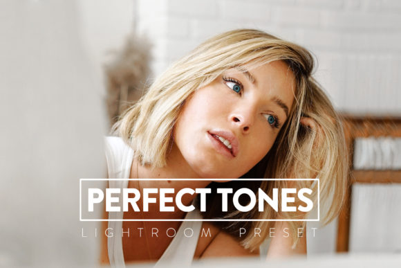 Download 10 Perfect Tones Lightroom Preset - Lightroom Collection