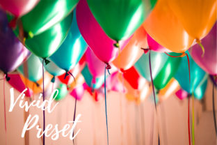 Download Lightroom Presets - Vivid Bundle - Lightroom Collection