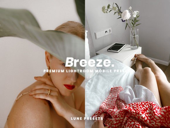 Download Breeze Lightroom Presets - Lightroom Collection