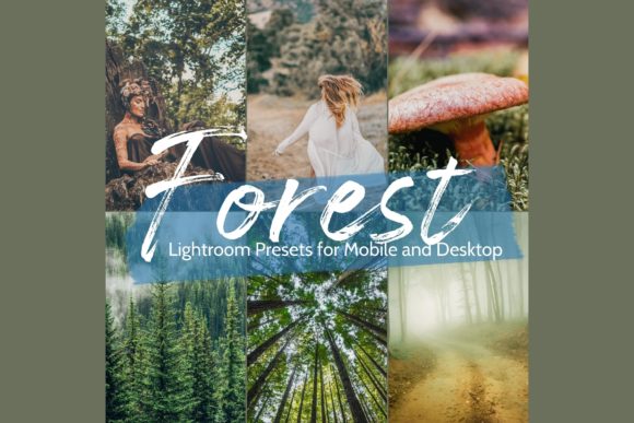 Download 10 Best Spring Forest Lightroom - Lightroom Collection