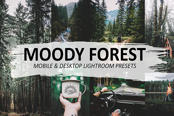 Download Moody Forest Lightroom Presets - Lightroom Collection