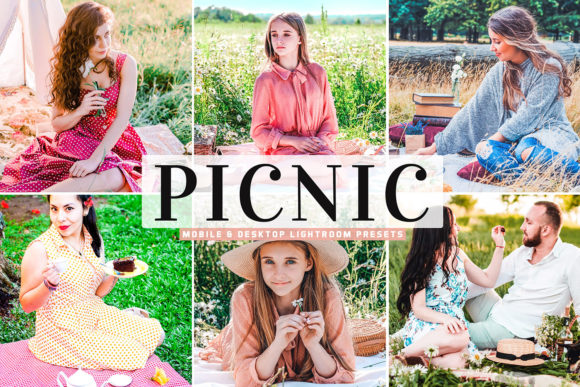 Download Picnic Pro Lightroom Presets Pack - Lightroom Collection